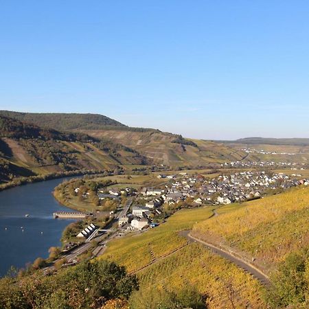 Ferienwohnung Flaemisches Weinhaus Винтрих Экстерьер фото